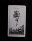 Supra Oracle Cards - Shackpalace Rituals
