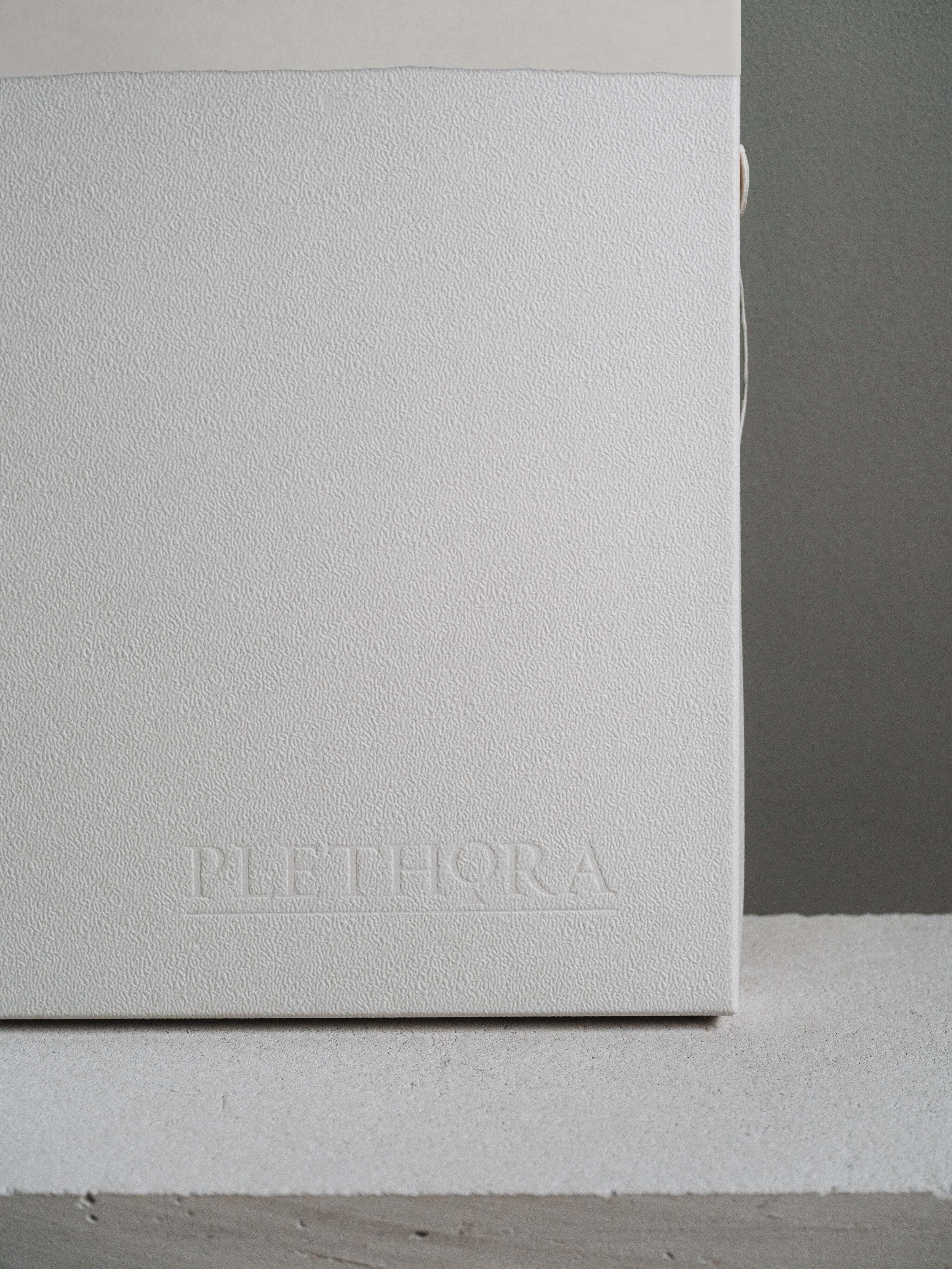Plethora Magazine Issue No. 13