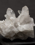 Clear Quartz Cluster