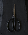 Vietnamese Scissors