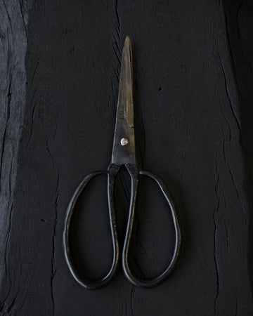 Vietnamese Scissors