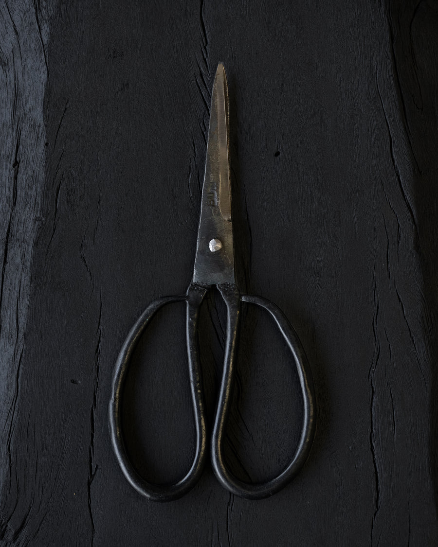 Vietnamese Scissors