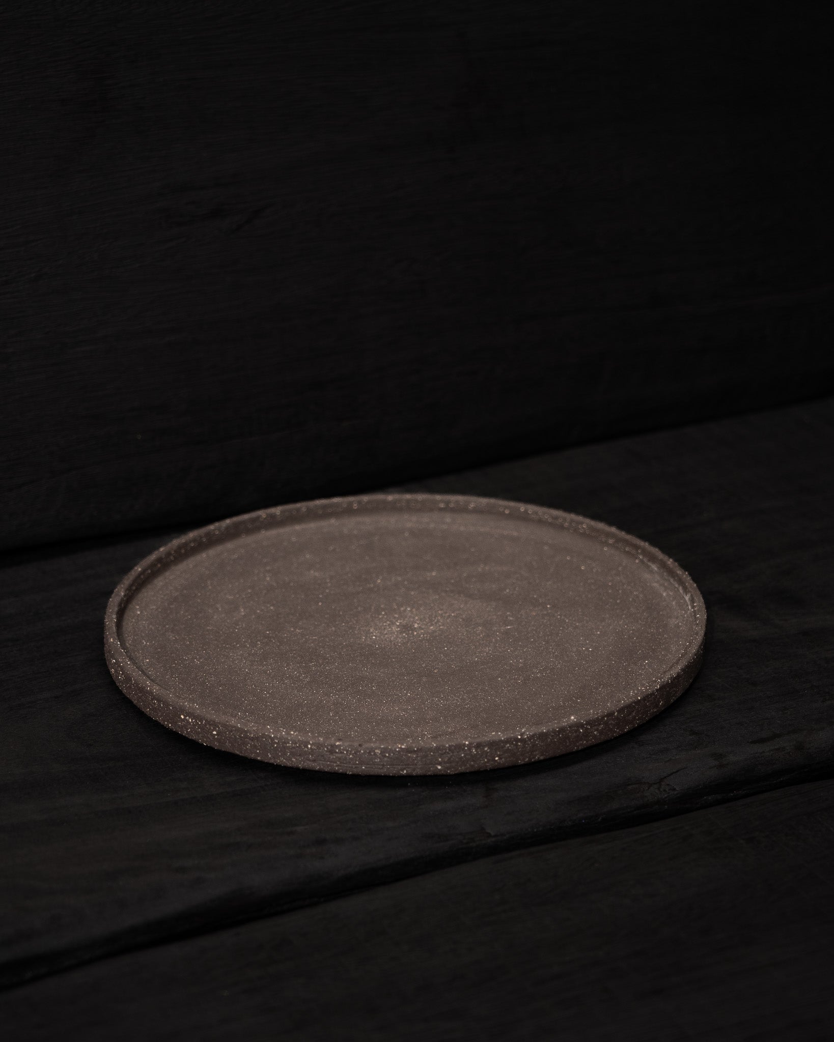 Stoneware Dinner Plate