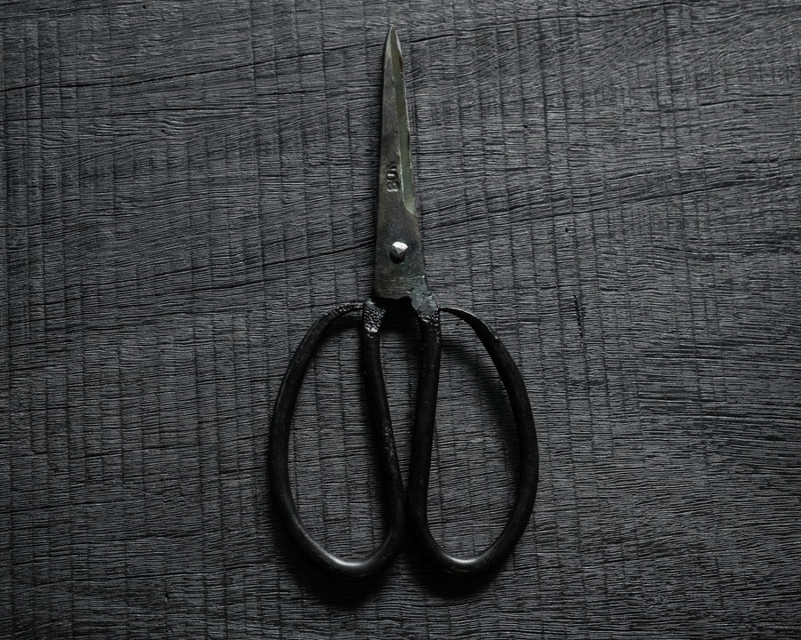 Vietnamese Scissors