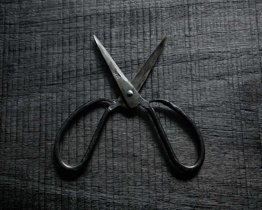 Vietnamese Scissors