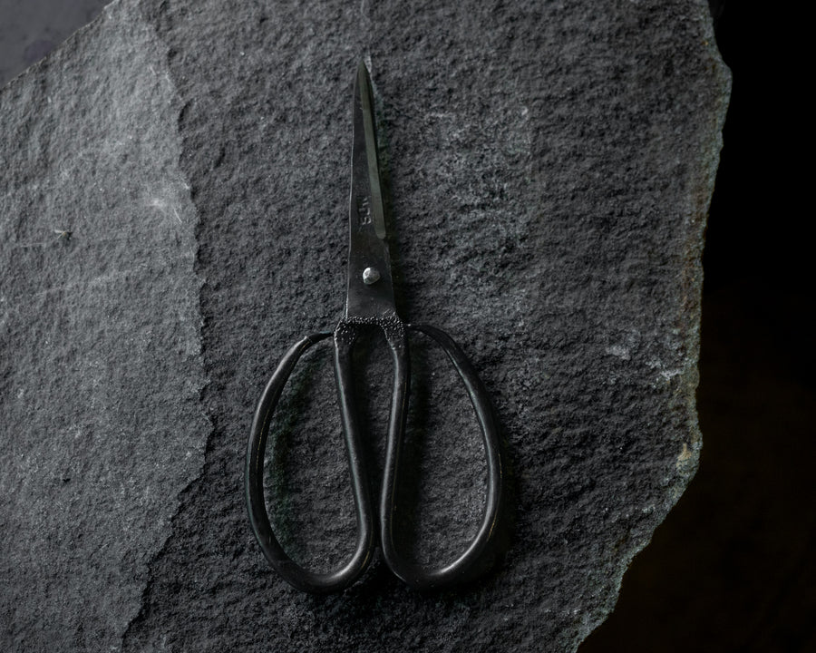 Vietnamese Scissors