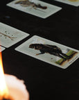 Pagan Otherworlds Tarot Cards - Shackpalace Rituals