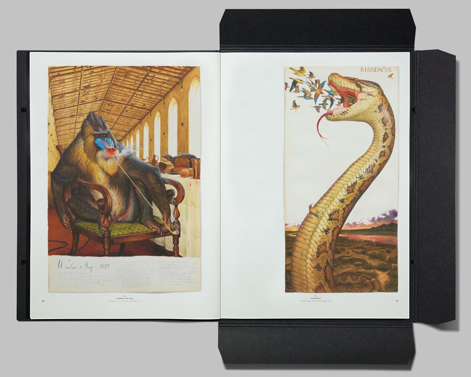 Plethora Magazine Issue No. 6 - Shackpalace Rituals