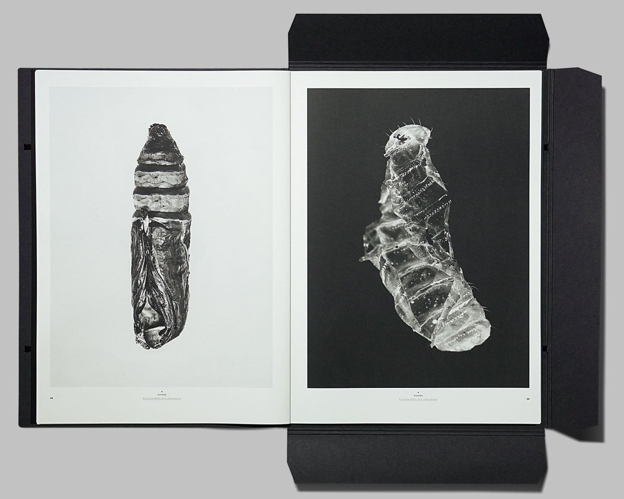 Plethora Magazine Issue No. 3 - Shackpalace Rituals