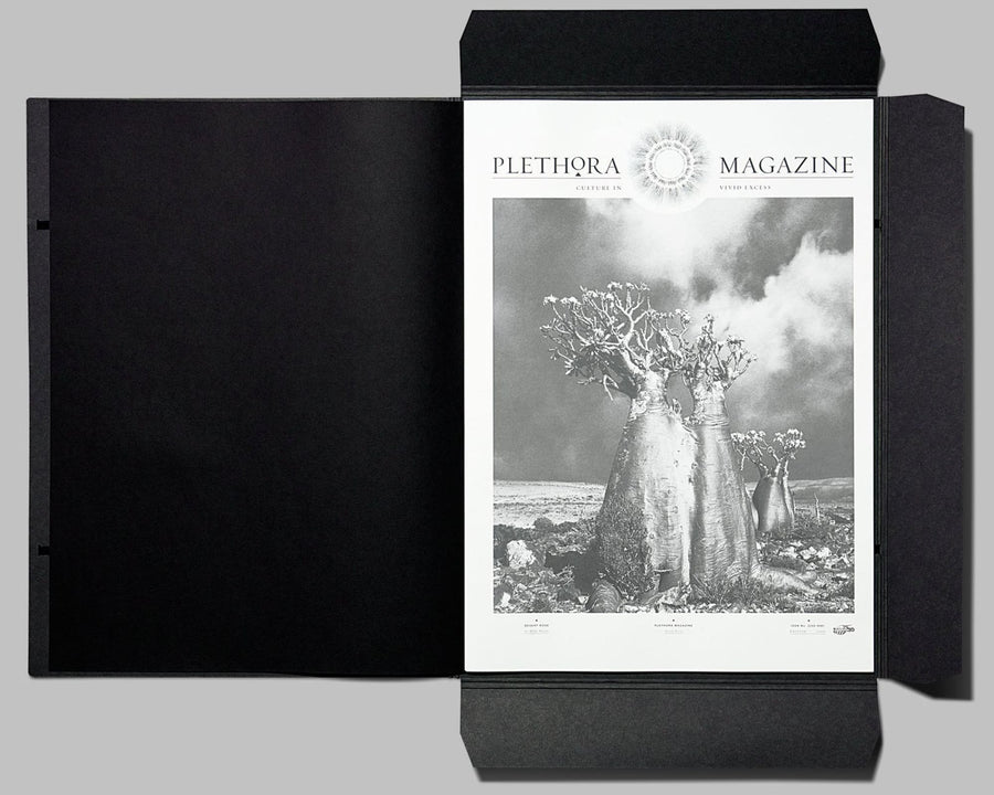 Plethora Magazine Issue No. 3 - Shackpalace Rituals