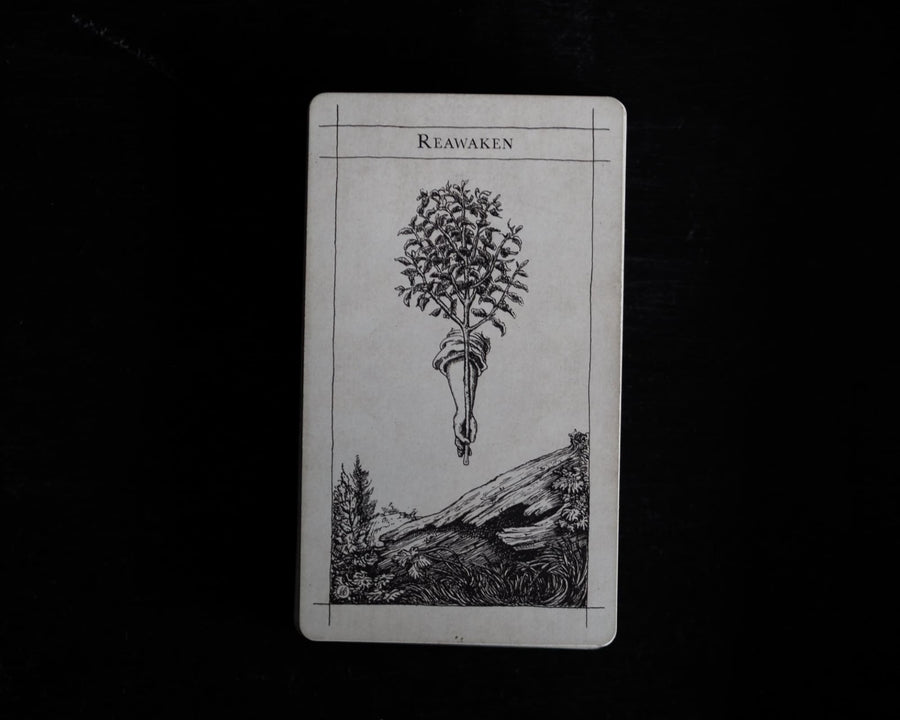 Supra Oracle Cards - Shackpalace Rituals